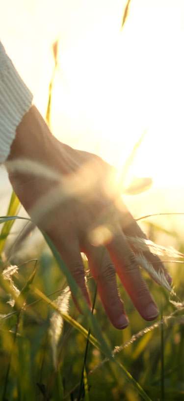 Amazin U - Ageing Hands & Décolletage