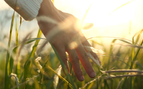 Amazin U - Ageing Hands & Décolletage